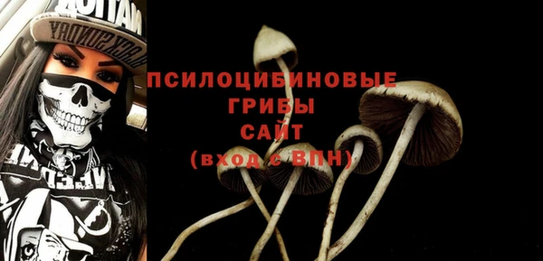 амф Алексин