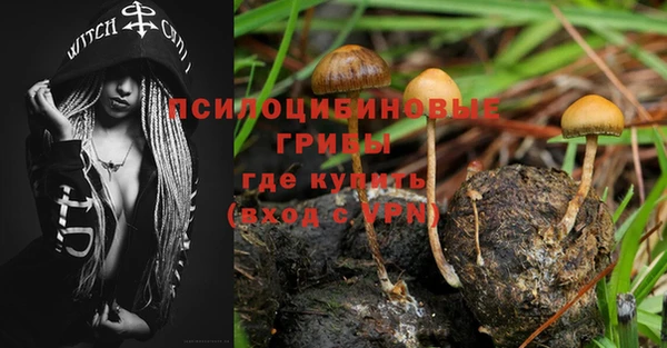 амф Алексин