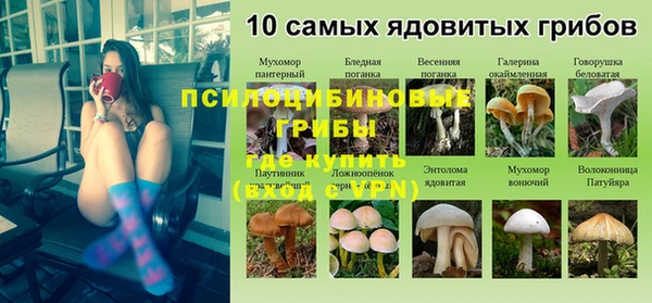индика Алексеевка