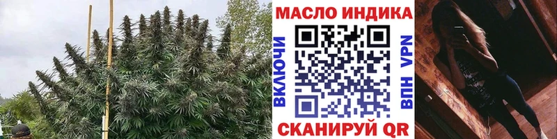 купить   Апатиты  Дистиллят ТГК гашишное масло 