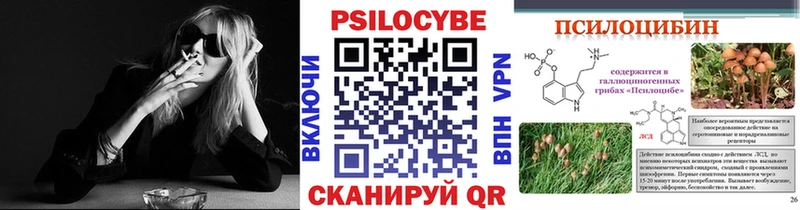 Галлюциногенные грибы Psilocybe  Апатиты 